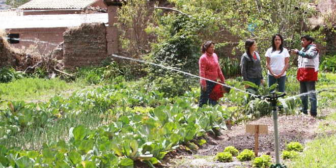 Primer aniversario del programa “Mi Chacra Emprendera” – Haku Wiñay de Foncodes