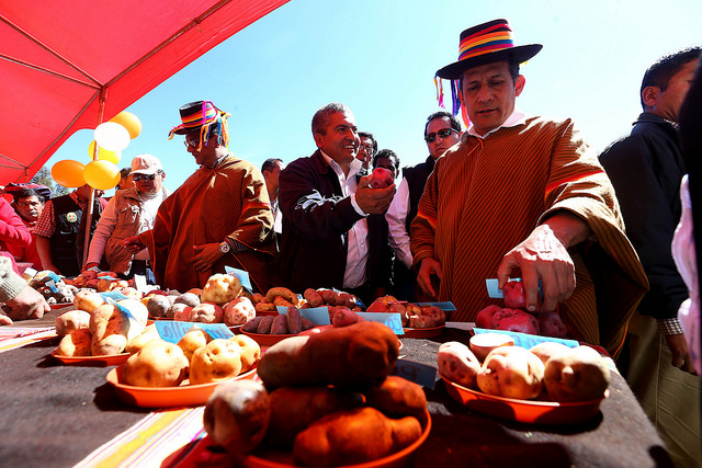 Gobierno compromete apoyo para la industrialización de la papa