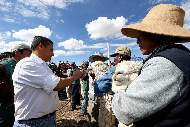 Presidente Humala inaugura primera reserva alpaquera del país con tecnología genética, apoyo y prevención ante heladas